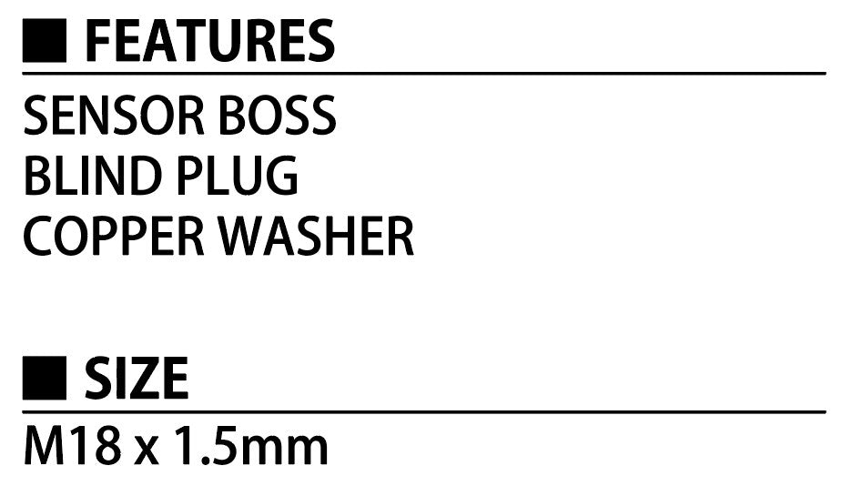 BOSS AND PLUG