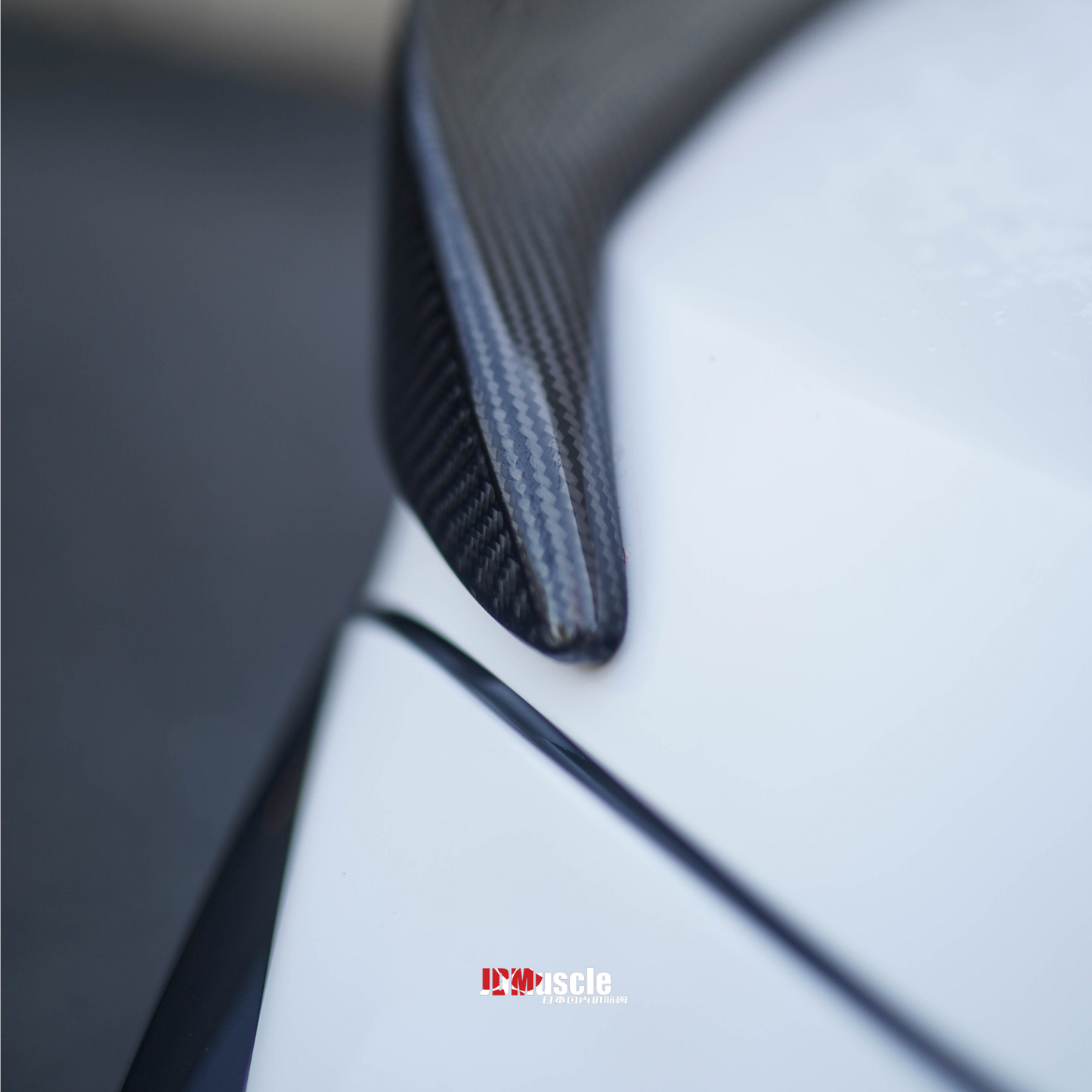 JDMuscle 22-25 WRX Tanso Carbon Fiber Duck Bill V1