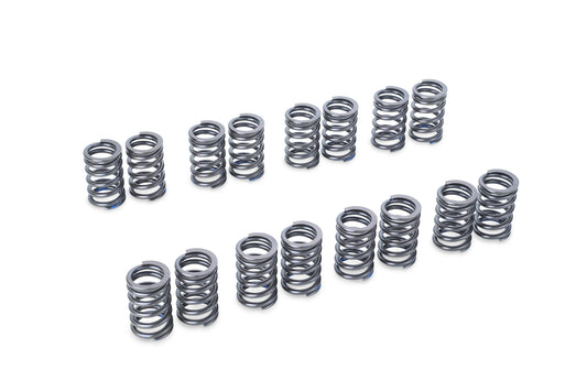 VALVE SPRING EJ205/207/255/257 by Tomei