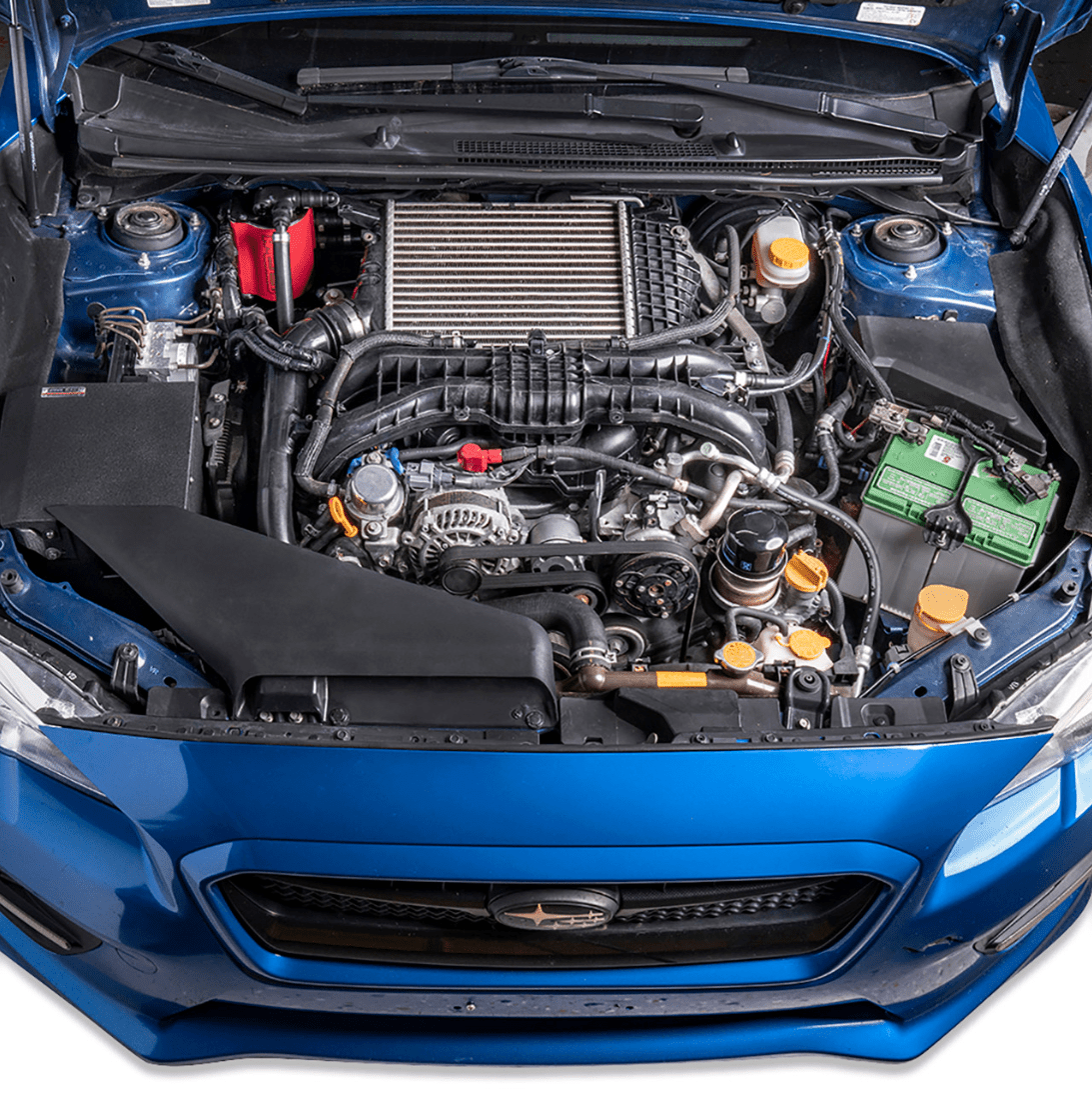 IAG Performance V3 Street Series Air / Oil Separator (AOS) Wrinkle Red 2015 - 2021 WRX / 2014 - 2018 Forester XT - IAG - ENG - 7187RD - Subimods.com