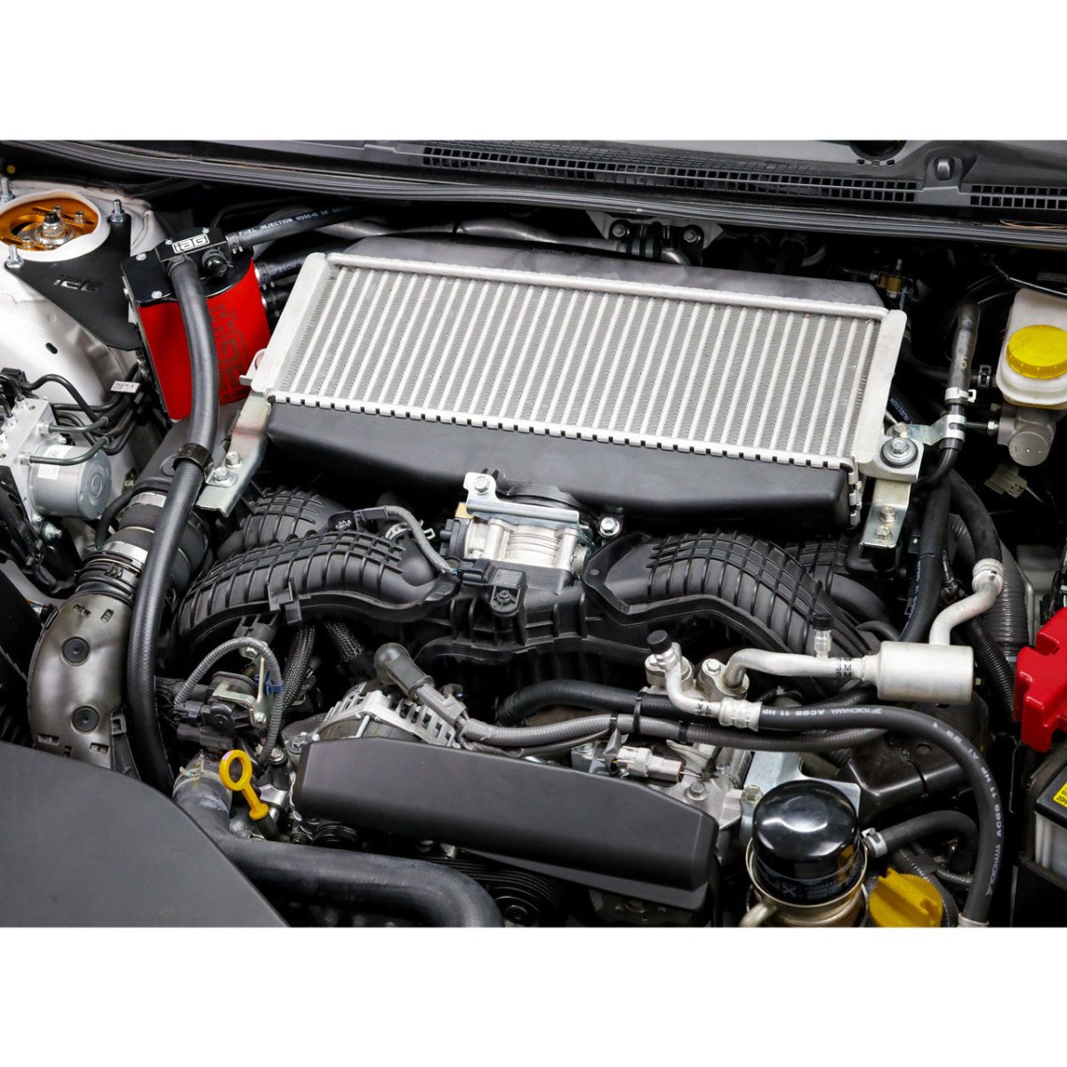 IAG Performance V3 Street Series Air / Oil Separator (AOS) Wrinkle Red 2022-2024 WRX - IAG-ENG-7183RD - Subimods.com